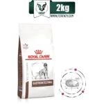 Royal-Canin-Gastrointestinal-