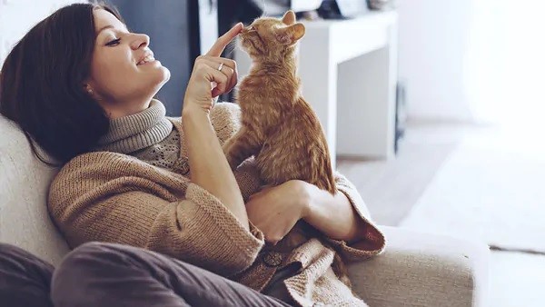 چگونه با گربه اشتی کنیم 