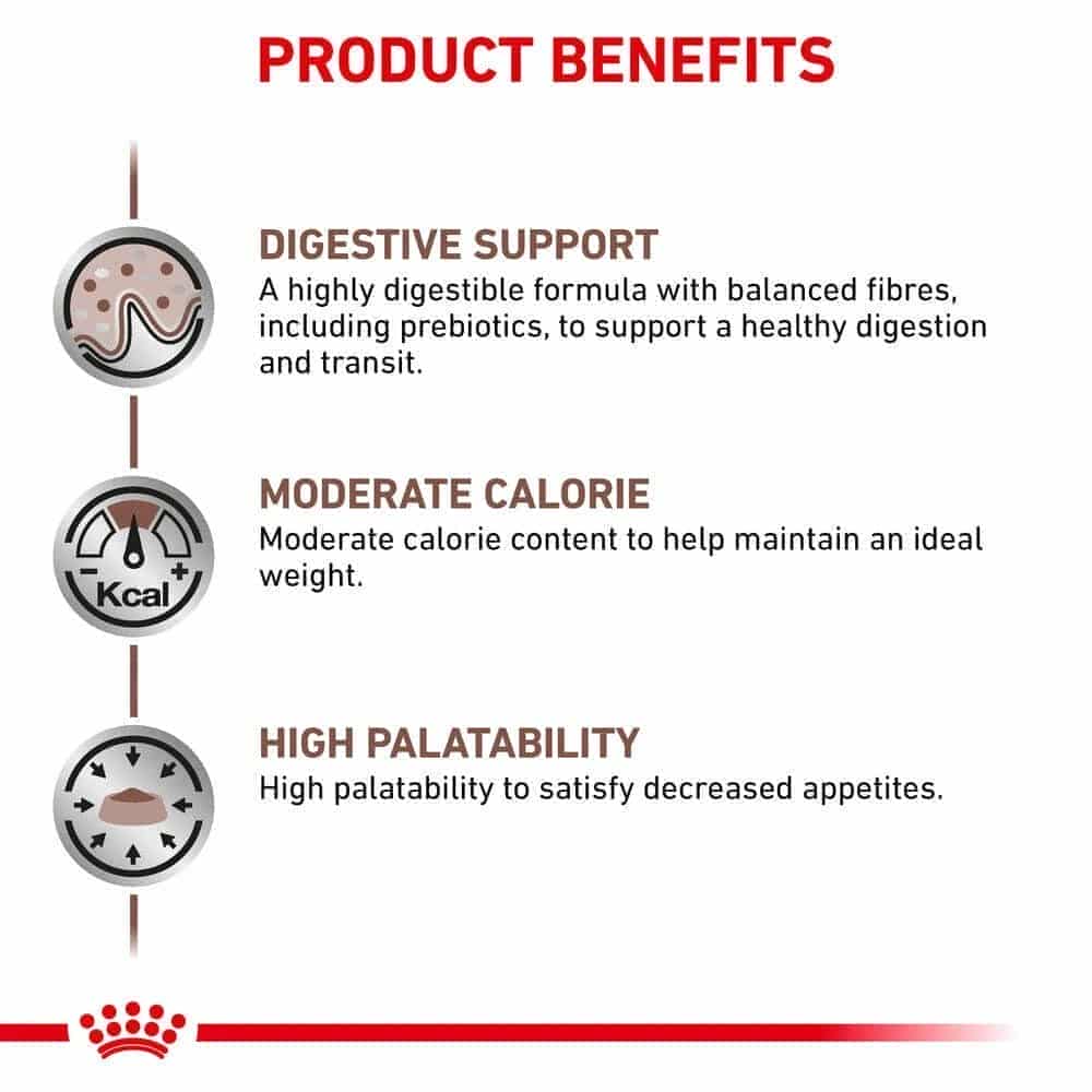 غذای خشک گربه رویال کنین مدل Gastro Moderate Calorie مناسب کاهش وزن