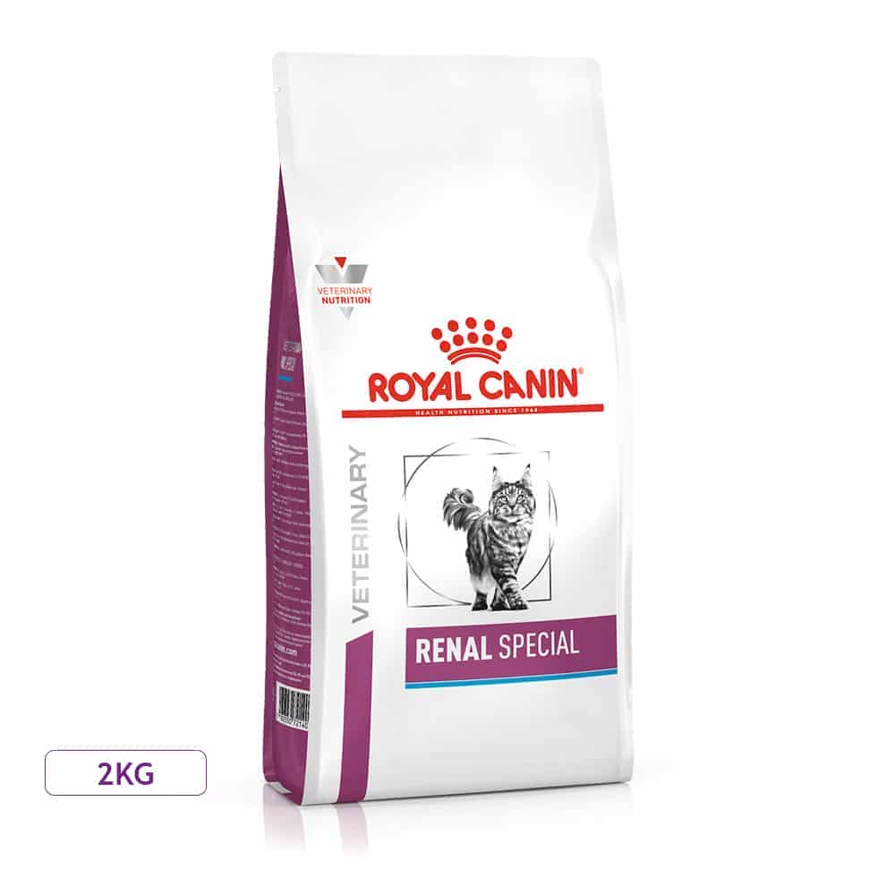 غذای خشک گربه بالغ رویال کنین مدل Renal Special درمان مشکلات کلیوی
