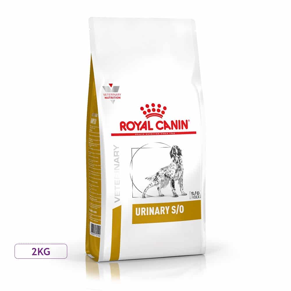 غذای خشک سگ رویال کنین مدل Urinary S/O درمان بیماری های کلیوی