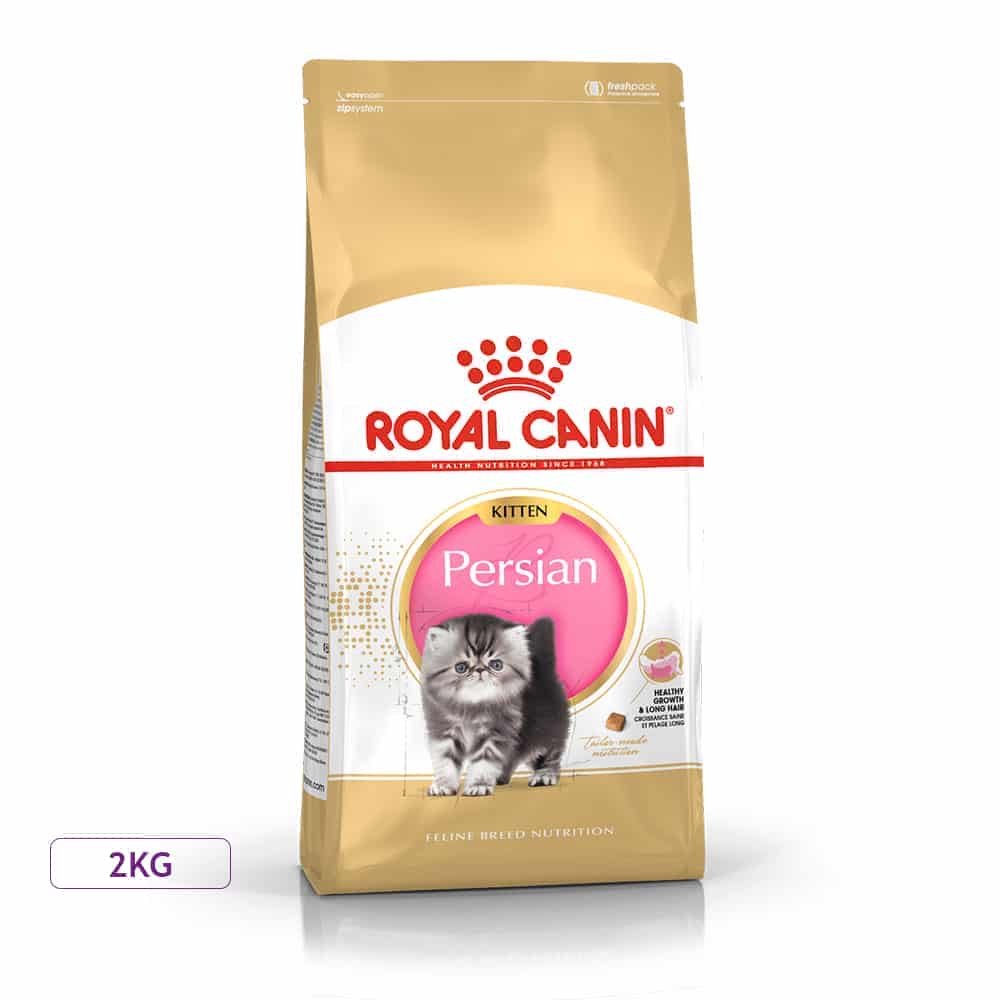 غذای خشک بچه گربه رویال کنین مدل Persian مناسب نژاد پرشین